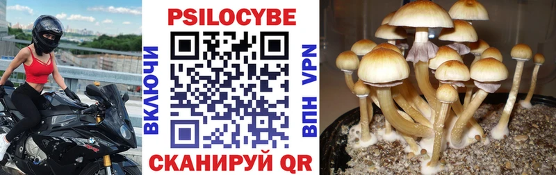 Купить  Юхнов  Галлюциногенные грибы Magic Shrooms 